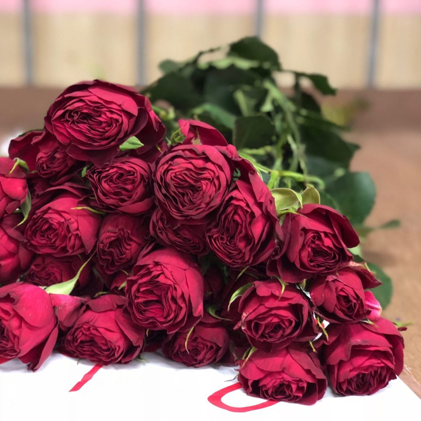 Sajenci Ros Ug — Розы,гортензии,лилии